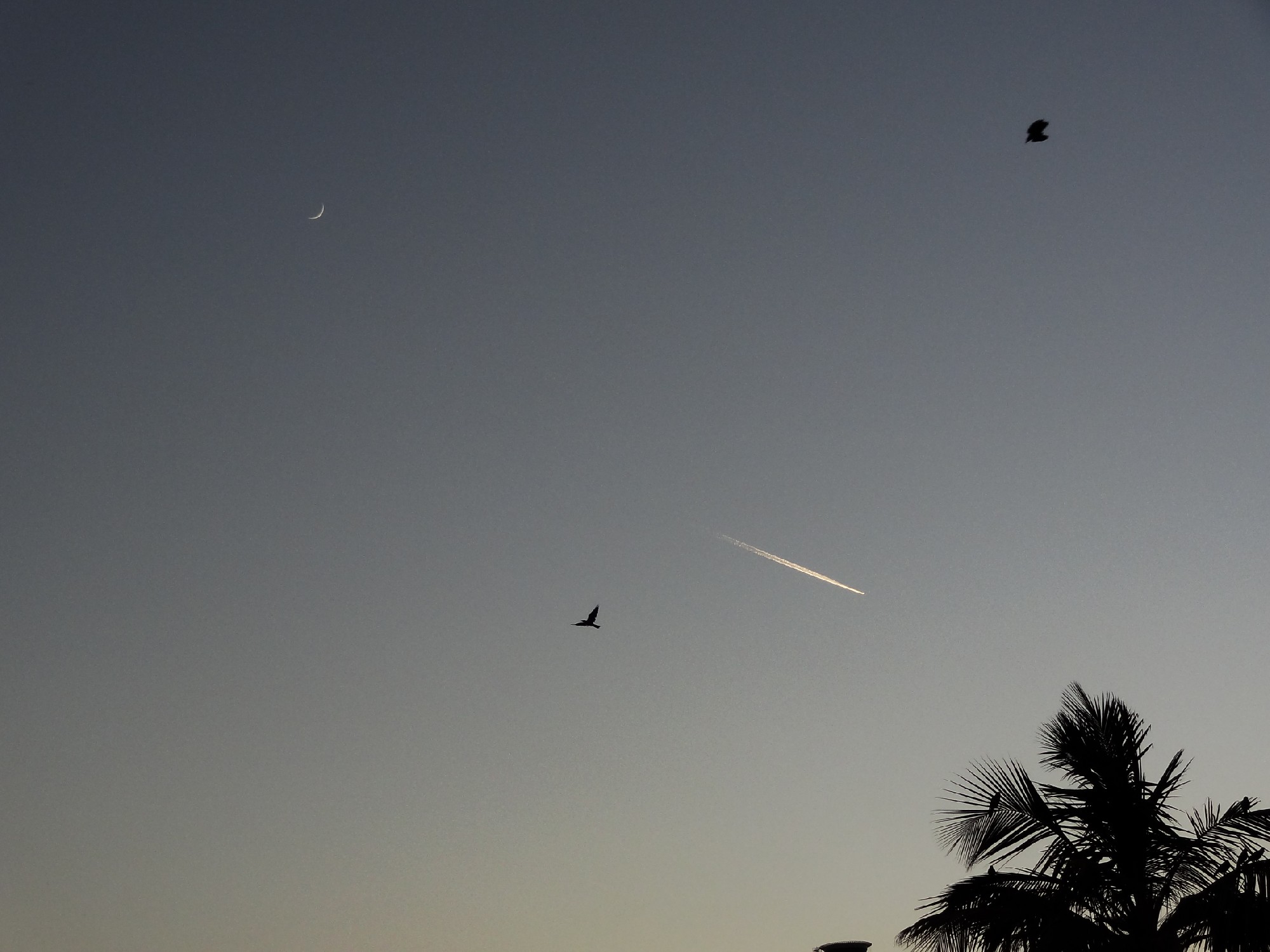 DSC01568 - 副本.JPG