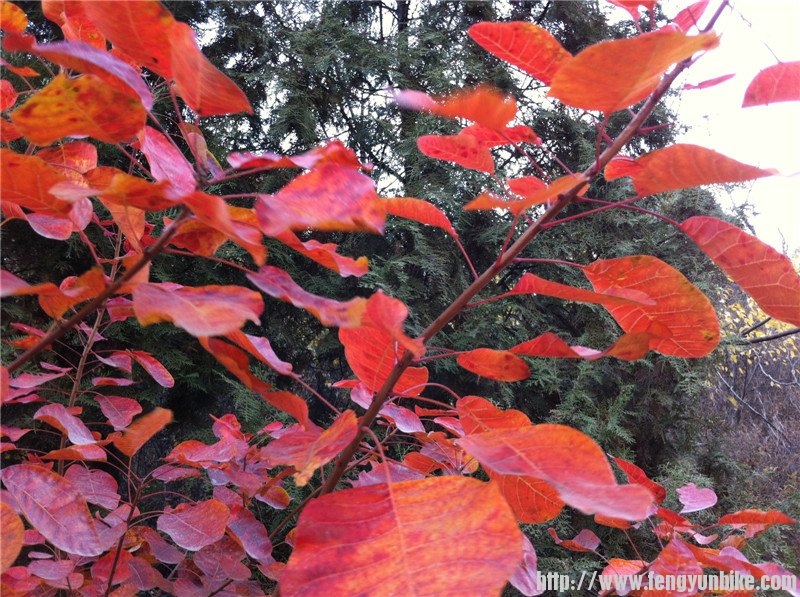 照片beijing1006 059.jpg