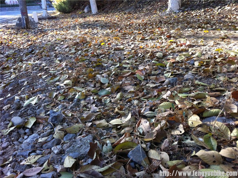 照片beijing1006 067.jpg