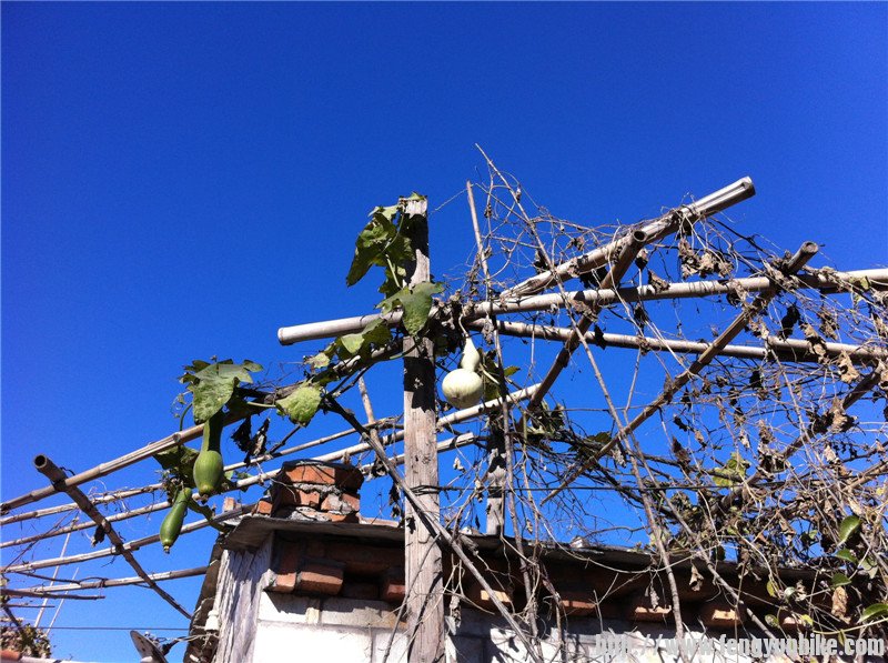 照片beijing1006 108.jpg