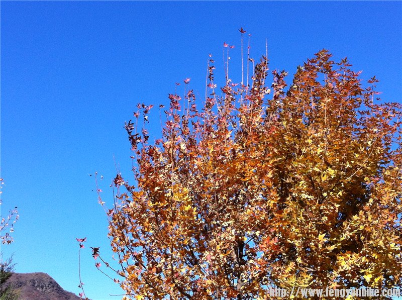 照片beijing1006 125.jpg