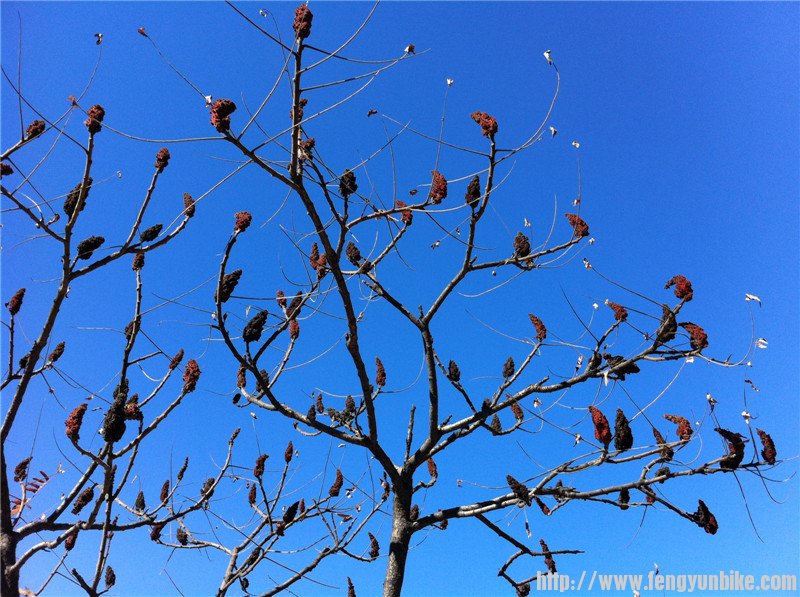照片beijing1006 148.jpg