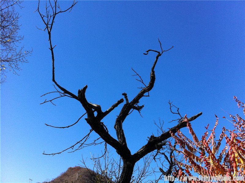 照片beijing1006 153.jpg