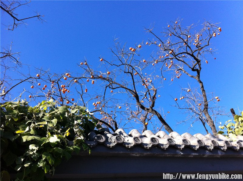 照片beijing1006 119.jpg