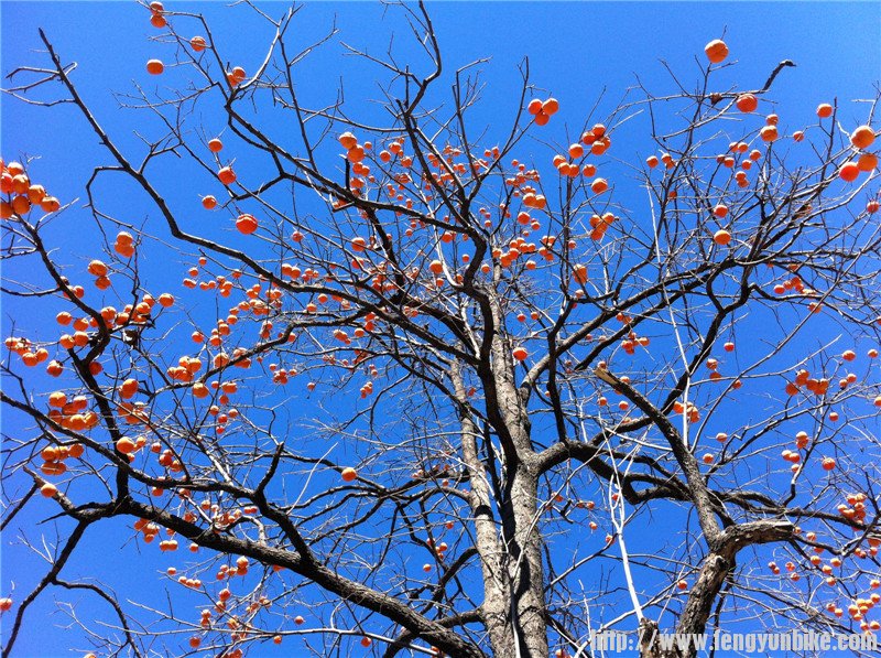 照片beijing1006 243.jpg