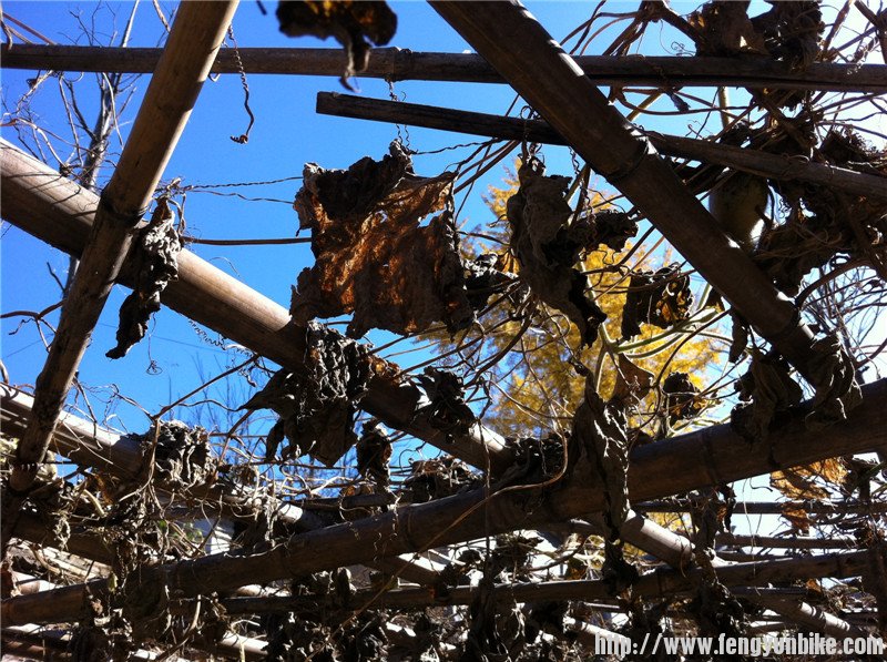 照片beijing1006 208.jpg