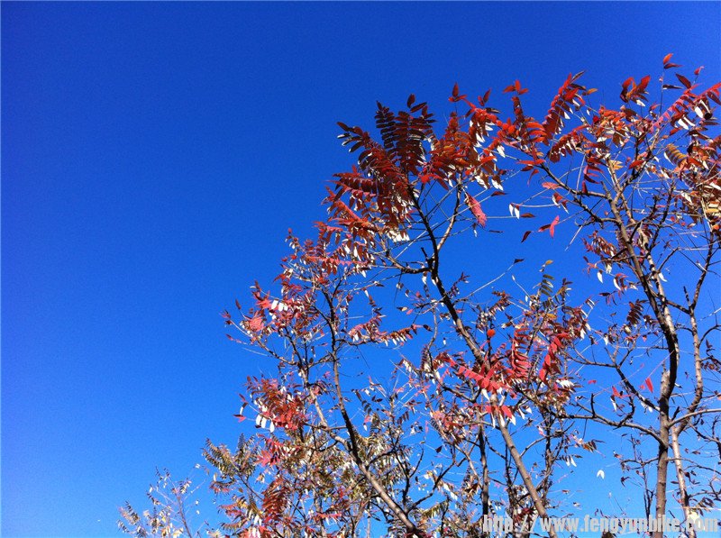 照片beijing1006 122.jpg