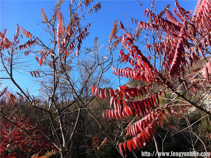 照片beijing1006 359.jpg