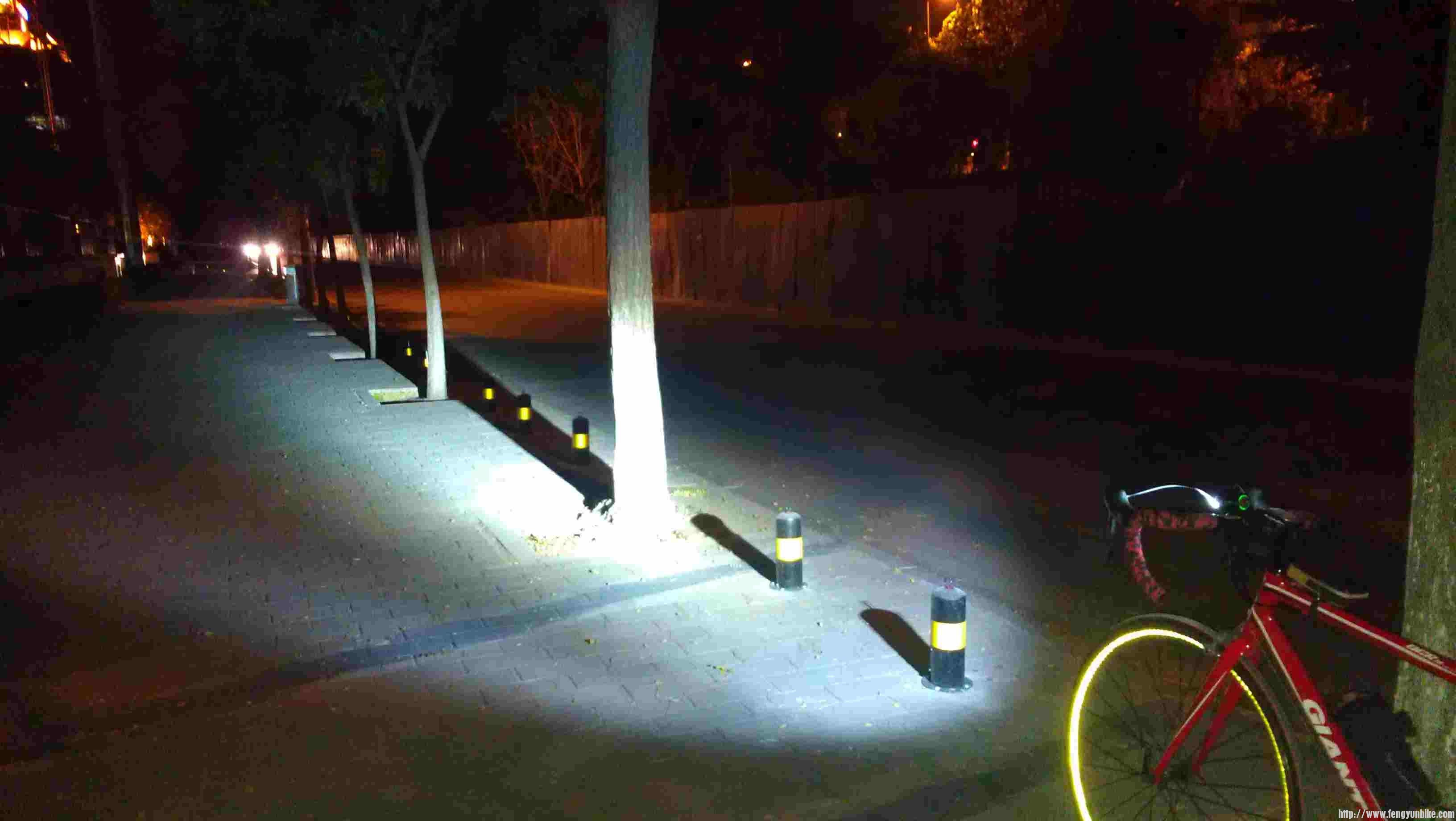 树距大概5米左右，可以照到第五棵树。