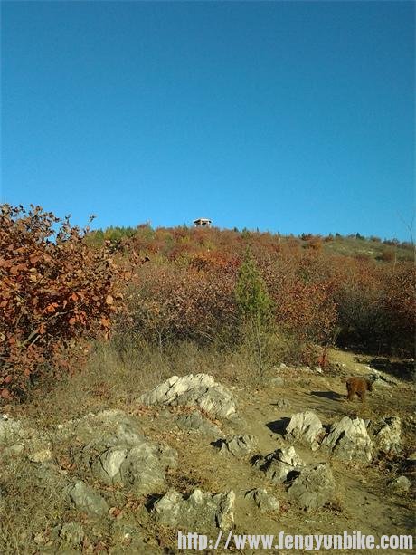 2013-11-07 08.23.40.jpg