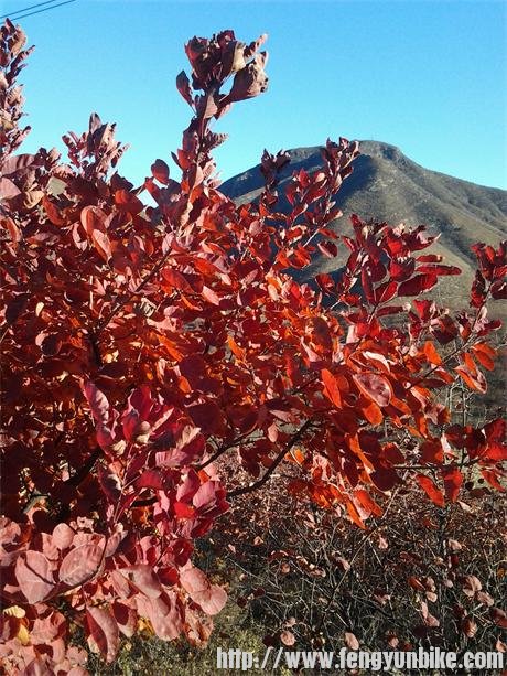 2013-11-07 08.37.39.jpg