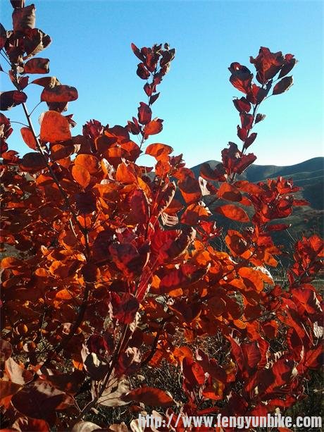 2013-11-07 08.37.46.jpg