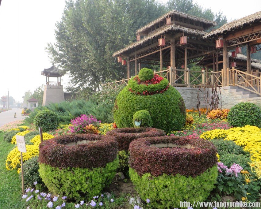 照片 2181_conew1.jpg