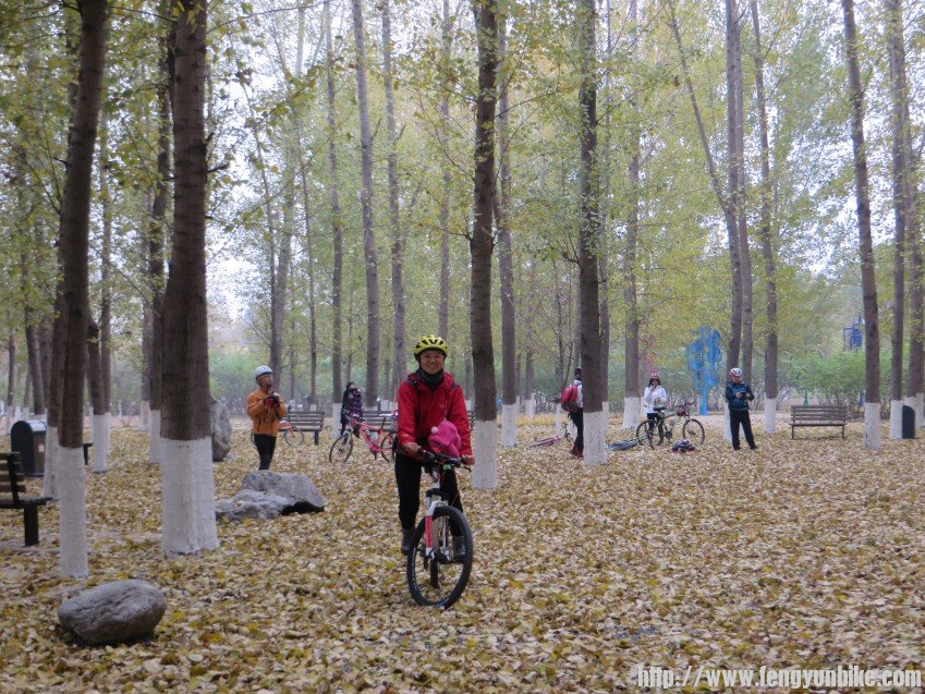 照片 3006_conew1.jpg