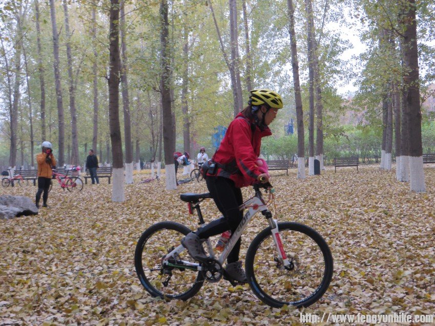 照片 3007_conew1.jpg