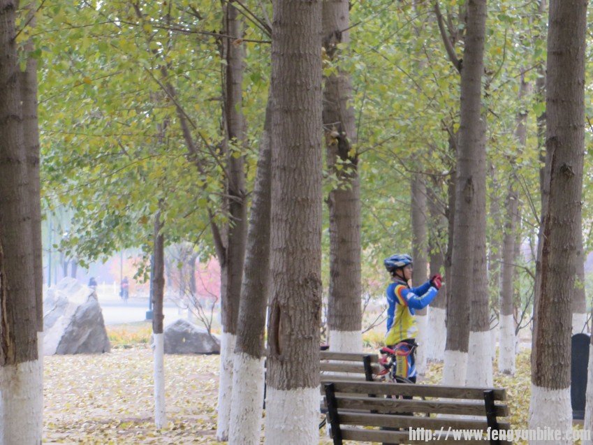 照片 3009_conew1.jpg