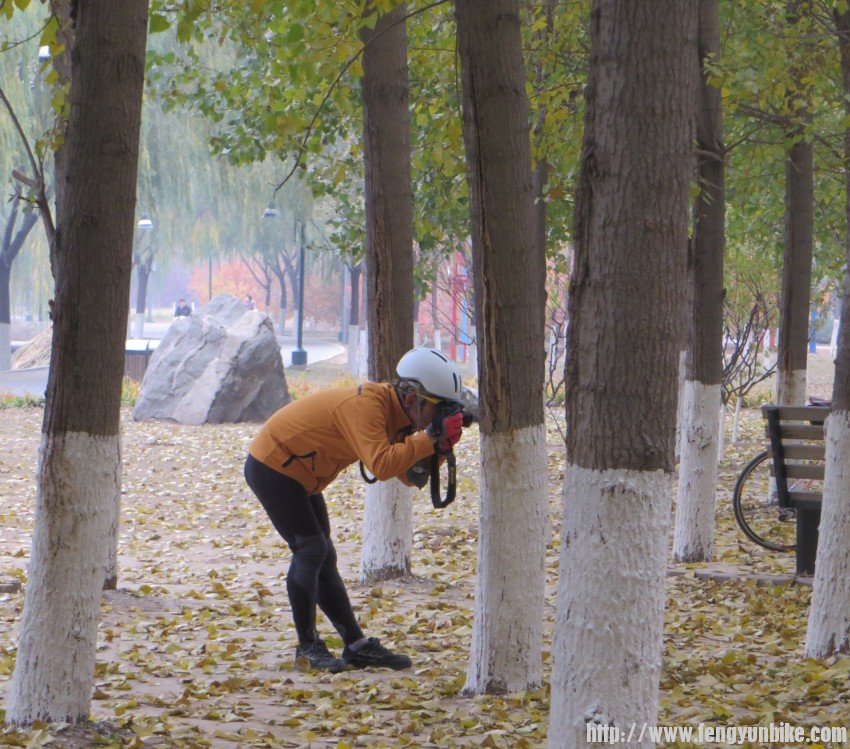 照片 3011_conew1.jpg