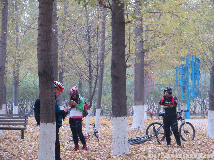 照片 3015_conew1.jpg