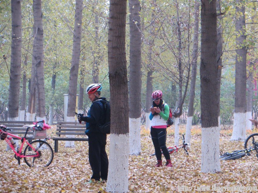 照片 3017_conew1.jpg