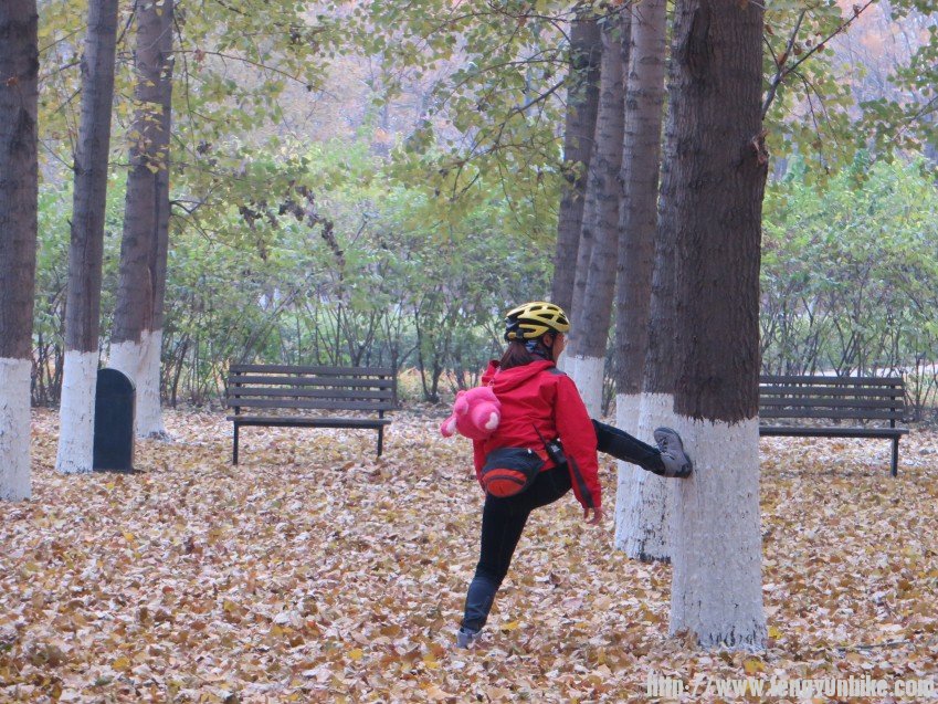 照片 3019_conew1.jpg