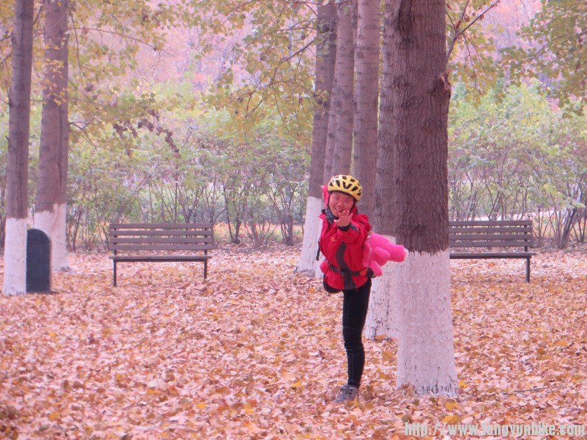 照片 3020_conew1.jpg