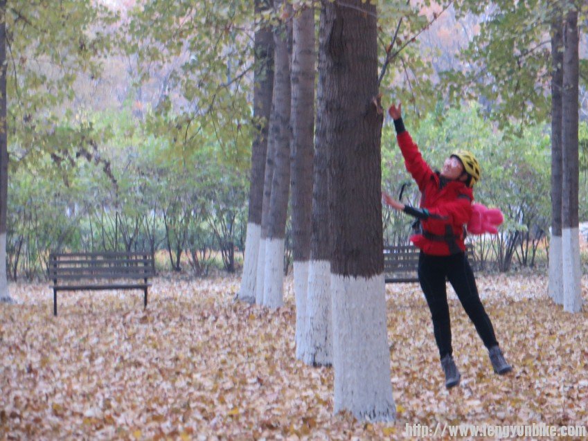 照片 3021_conew1.jpg