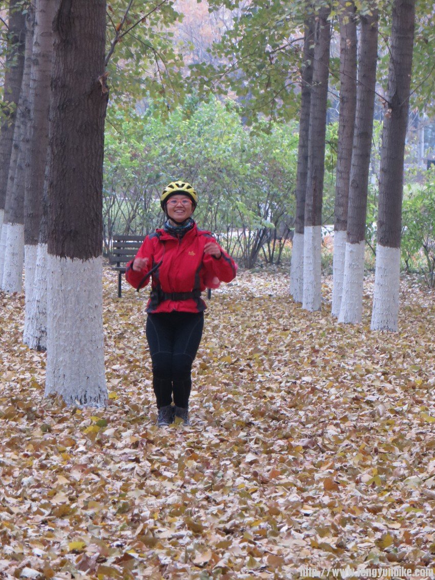 照片 3024_conew1.jpg