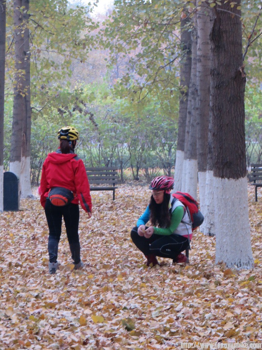 照片 3027_conew1.jpg