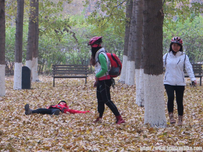 照片 3029_conew1.jpg