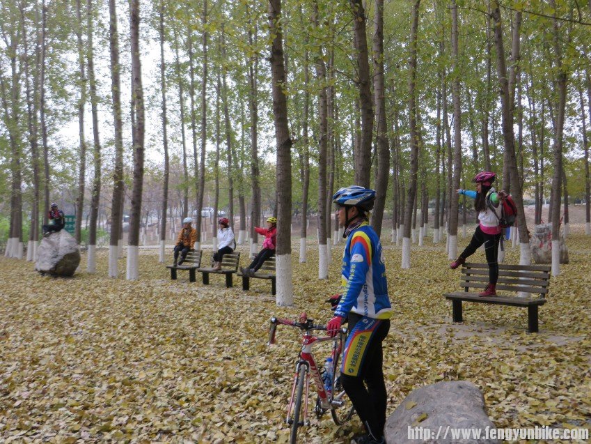 照片 3043_conew1.jpg