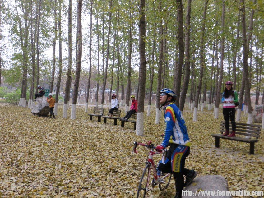 照片 3045_conew1.jpg