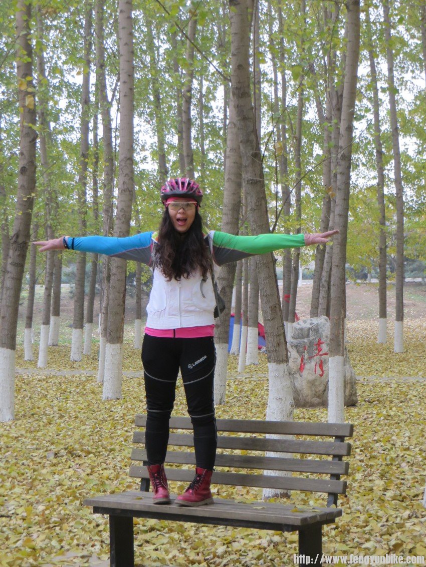 照片 3046_conew1.jpg