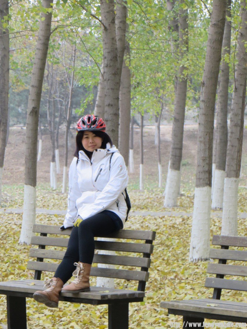 照片 3049_conew1.jpg