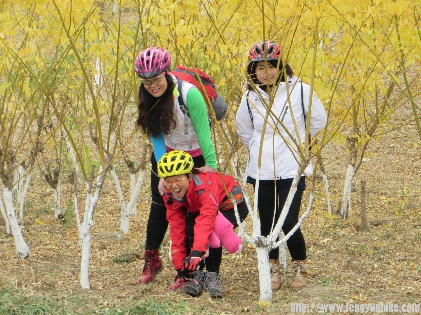 照片 3075_conew1.jpg