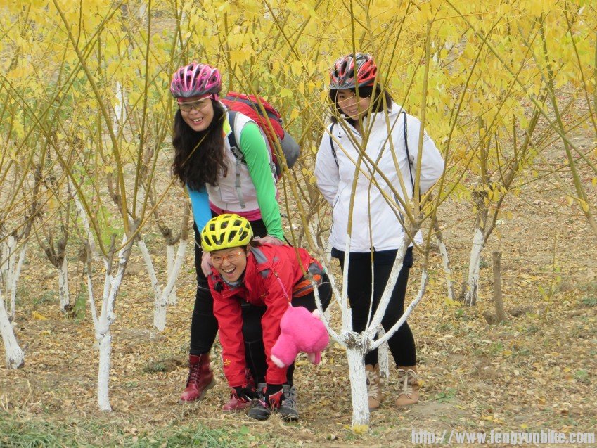 照片 3076_conew1.jpg