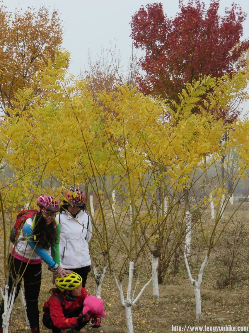 照片 3077_conew1.jpg