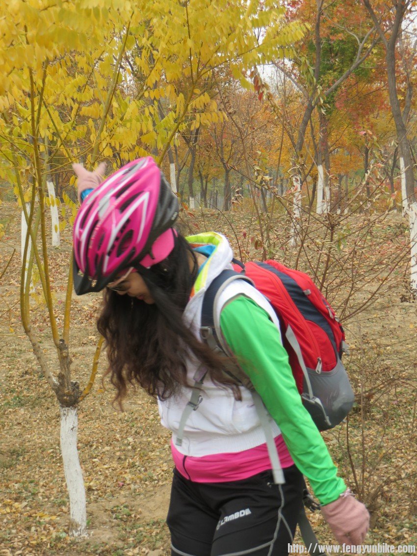 照片 3079_conew1.jpg