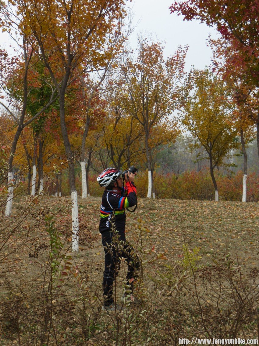 照片 3081_conew1.jpg