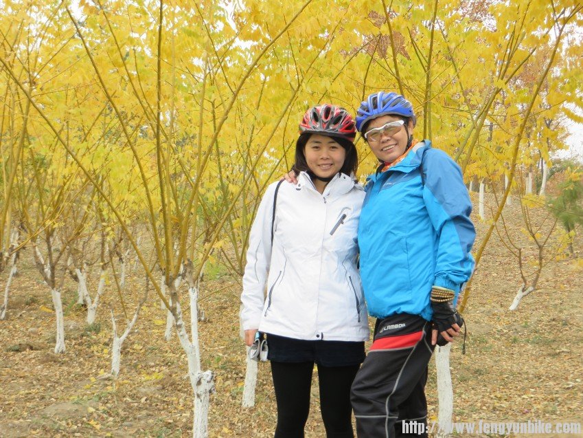 照片 3085_conew1.jpg