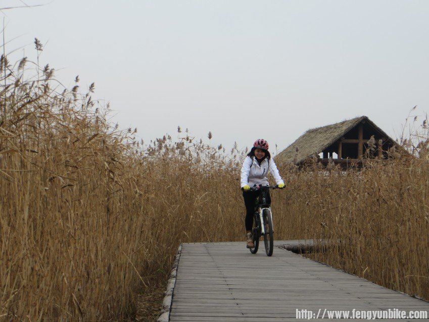 照片 3091_conew1.jpg