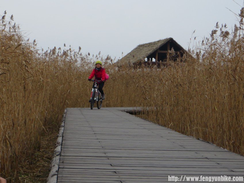 照片 3094_conew1.jpg