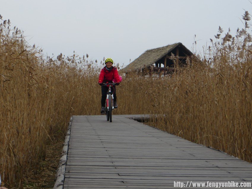 照片 3095_conew1.jpg