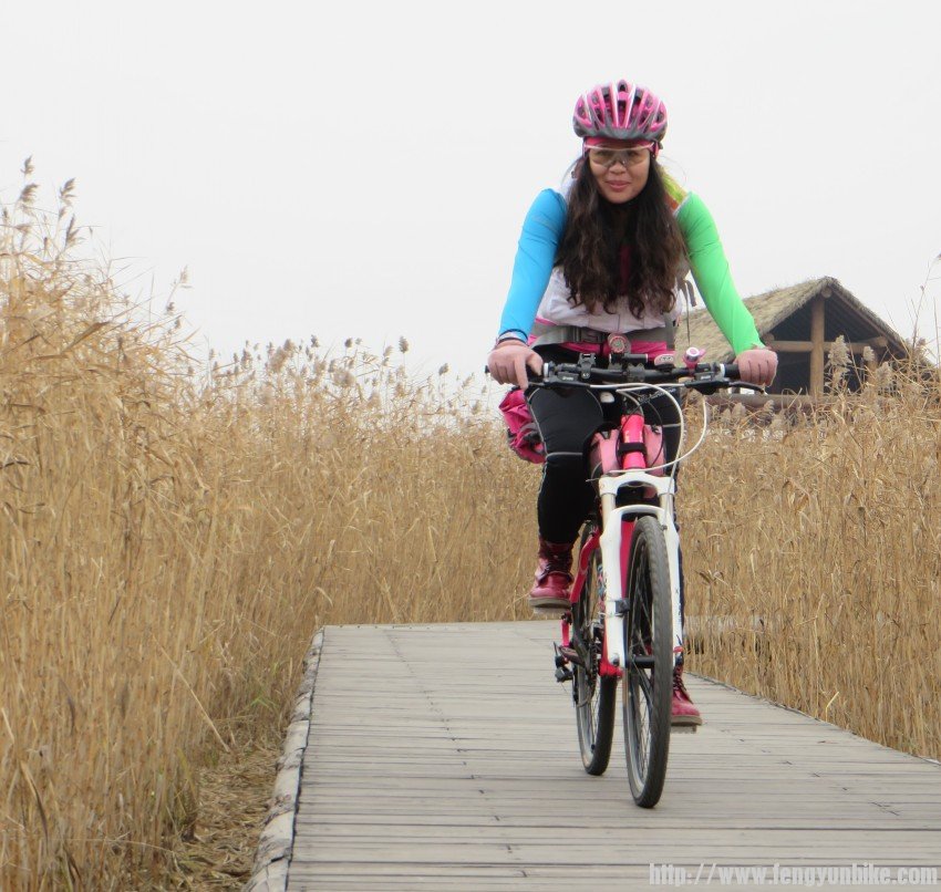 照片 3100_conew2.jpg