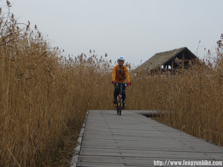 照片 3104_conew1.jpg