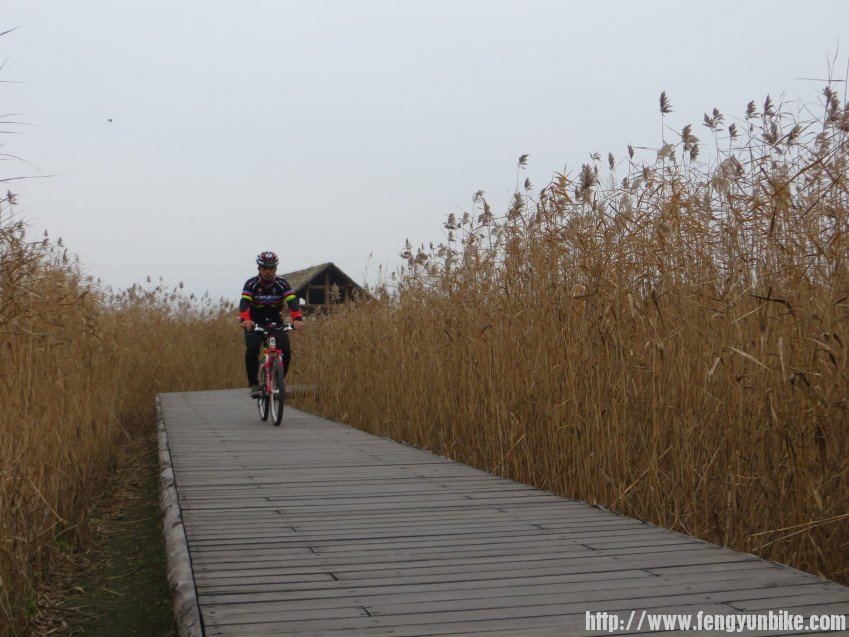 照片 3107_conew1.jpg