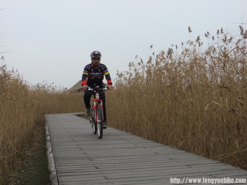 照片 3108_conew1.jpg