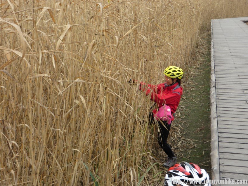 照片 3111_conew1.jpg