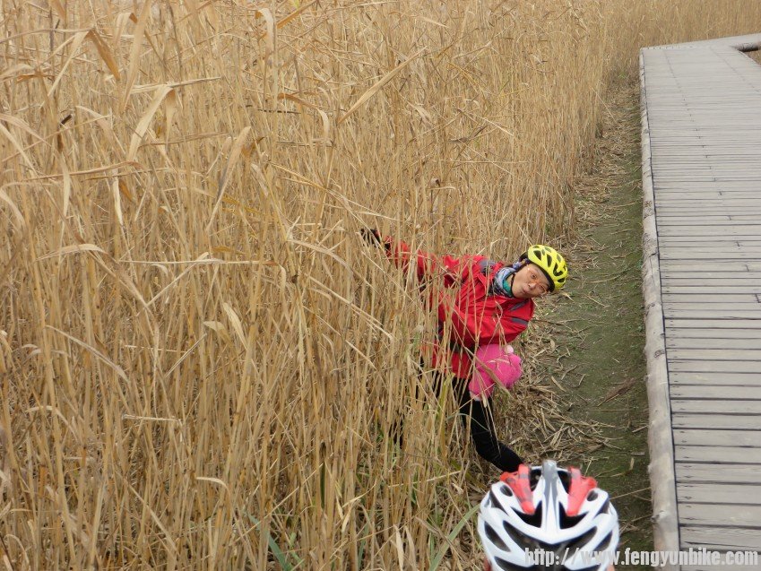 照片 3112_conew1.jpg