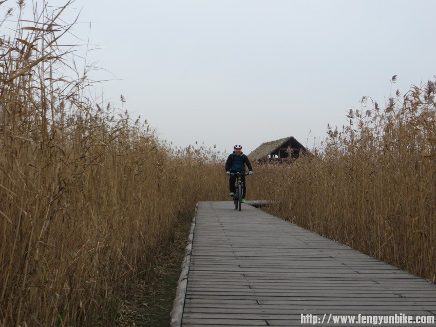 照片 3113_conew1.jpg