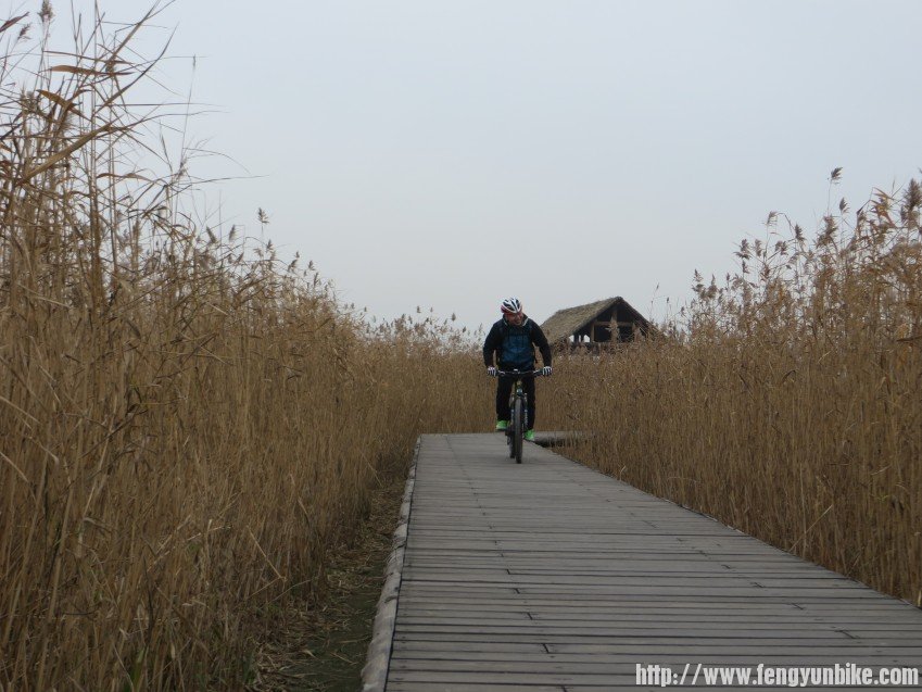 照片 3114_conew1.jpg